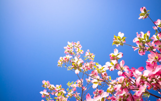 631012 (a): :2560x1600
